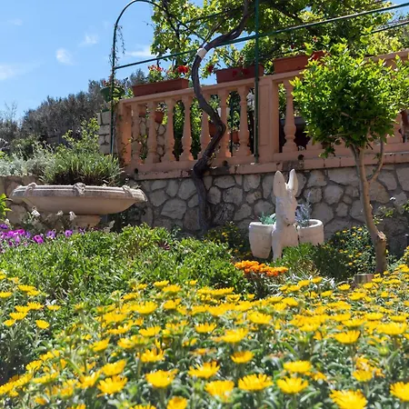 Apartament Crljenko With Sea View Pag Town